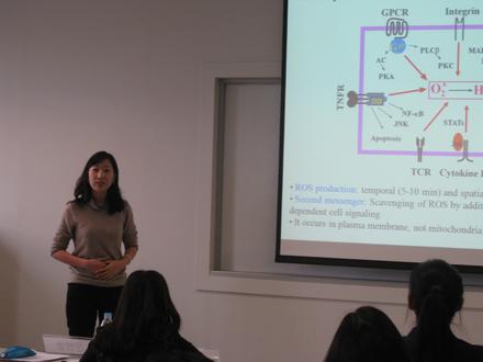 2010 스크랜튼학부 독립연구 Scranton Honors Thesis Symposium