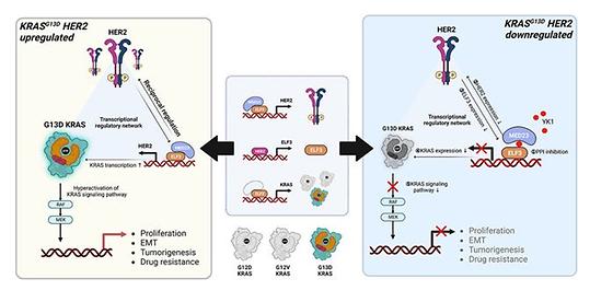 권영주교수연구성과
