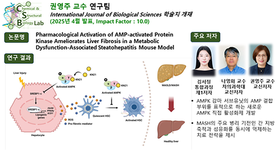 권영주교수님 연구성과